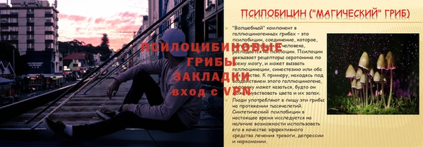 ешки Магадан
