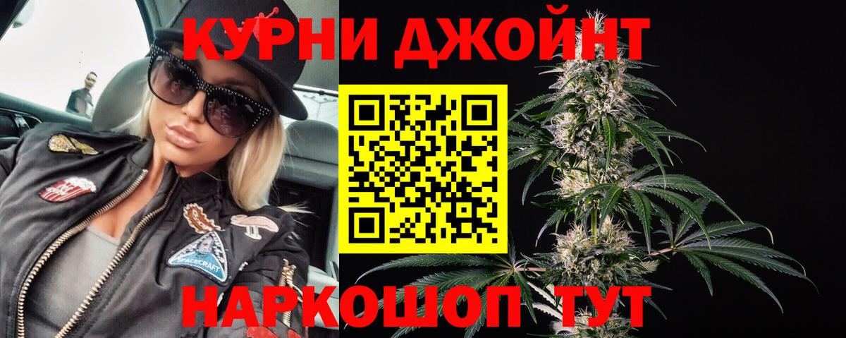 Конопля OG Kush Энгельс